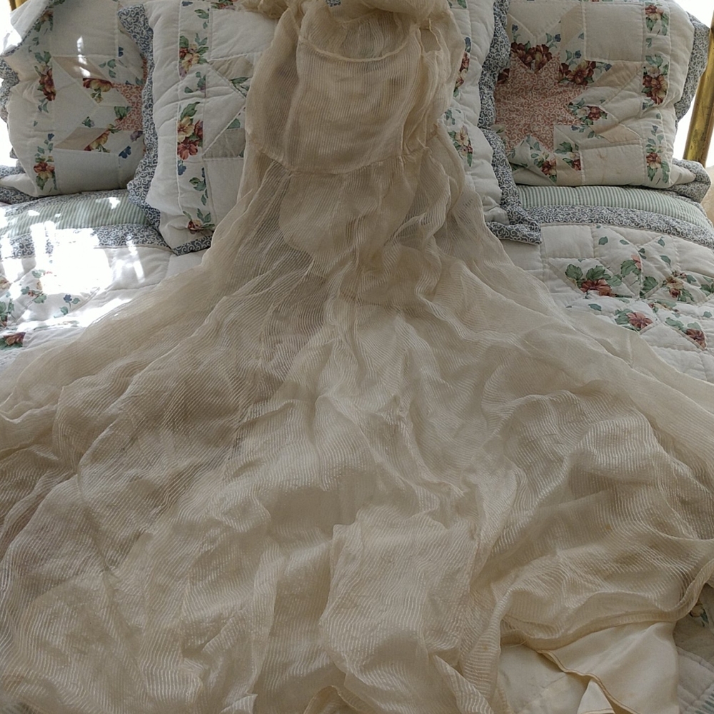 #9 1930s ANTIQUE SHEER GOSSAMER GOWN w Original Taffeta Slip - Picture 8 of 13